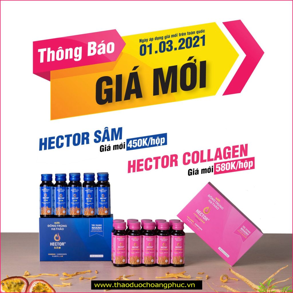 Thảo Dược Hoàng Phúc